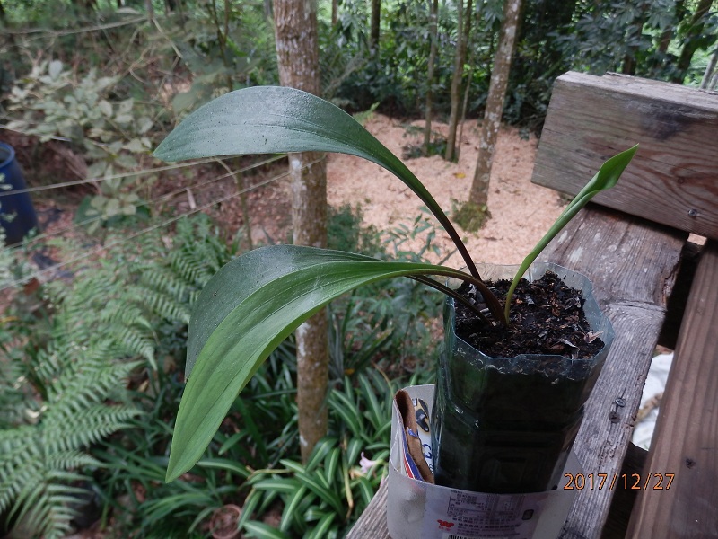 «ö¦¹¦b·sµøµ¡ÂsÄý¹Ï¤ù