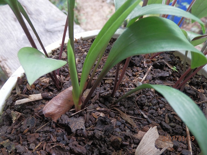 «ö¦¹¦b·sµøµ¡ÂsÄý¹Ï¤ù