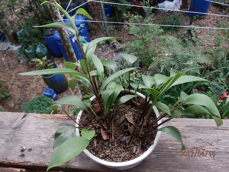 «ö¦¹¦b·sµøµ¡ÂsÄý¹Ï¤ù