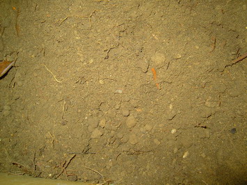 «ö¦¹¦b·sµøµ¡ÂsÄý¹Ï¤ù