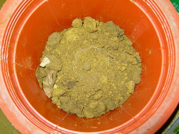 «ö¦¹¦b·sµøµ¡ÂsÄý¹Ï¤ù