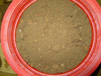 «ö¦¹¦b·sµøµ¡ÂsÄý¹Ï¤ù