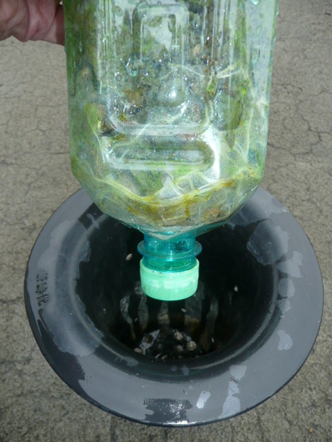 «ö¦¹¦b·sµøµ¡ÂsÄý¹Ï¤ù