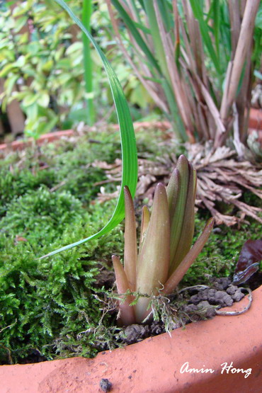 «ö¦¹¦b·sµøµ¡ÂsÄý¹Ï¤ù