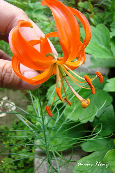 «ö¦¹¦b·sµøµ¡ÂsÄý¹Ï¤ù