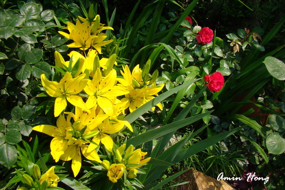 «ö¦¹¦b·sµøµ¡ÂsÄý¹Ï¤ù