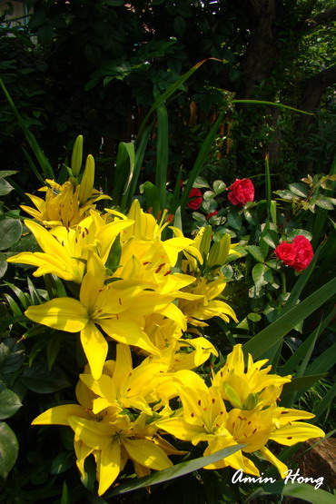 «ö¦¹¦b·sµøµ¡ÂsÄý¹Ï¤ù