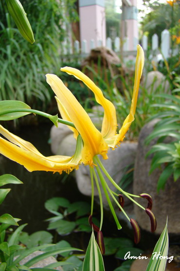 «ö¦¹¦b·sµøµ¡ÂsÄý¹Ï¤ù