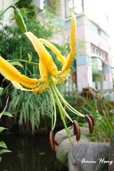 «ö¦¹¦b·sµøµ¡ÂsÄý¹Ï¤ù