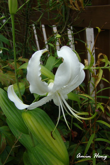 «ö¦¹¦b·sµøµ¡ÂsÄý¹Ï¤ù