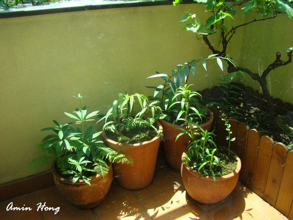 «ö¦¹¦b·sµøµ¡ÂsÄý¹Ï¤ù