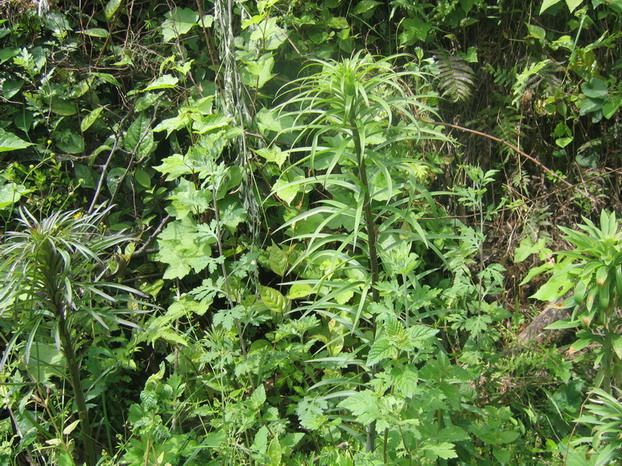 «ö¦¹¦b·sµøµ¡ÂsÄý¹Ï¤ù