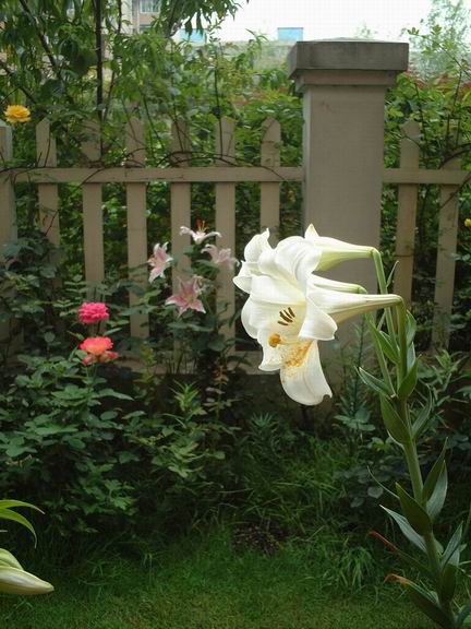 «ö¦¹¦b·sµøµ¡ÂsÄý¹Ï¤ù