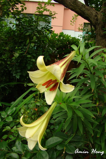 «ö¦¹¦b·sµøµ¡ÂsÄý¹Ï¤ù