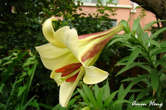 «ö¦¹¦b·sµøµ¡ÂsÄý¹Ï¤ù