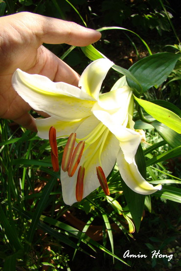 «ö¦¹¦b·sµøµ¡ÂsÄý¹Ï¤ù