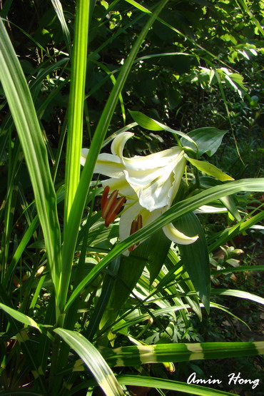 «ö¦¹¦b·sµøµ¡ÂsÄý¹Ï¤ù