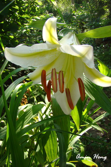 «ö¦¹¦b·sµøµ¡ÂsÄý¹Ï¤ù