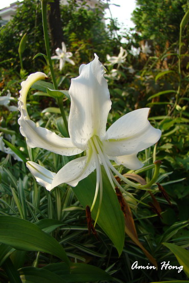 «ö¦¹¦b·sµøµ¡ÂsÄý¹Ï¤ù