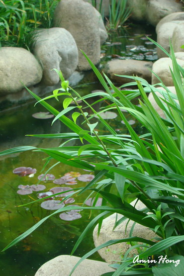 «ö¦¹¦b·sµøµ¡ÂsÄý¹Ï¤ù