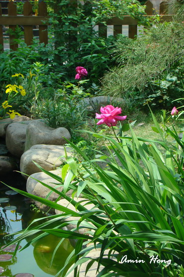 «ö¦¹¦b·sµøµ¡ÂsÄý¹Ï¤ù