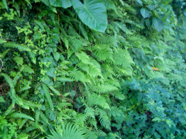 按此在新視窗瀏覽圖片