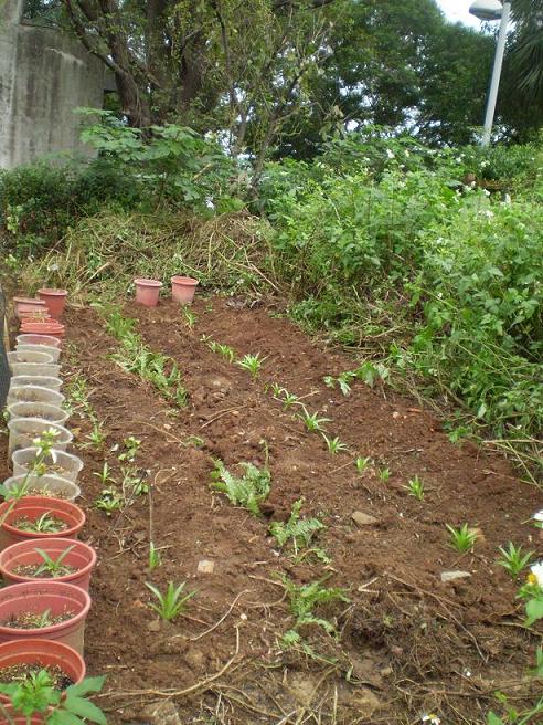 按此在新視窗瀏覽圖片