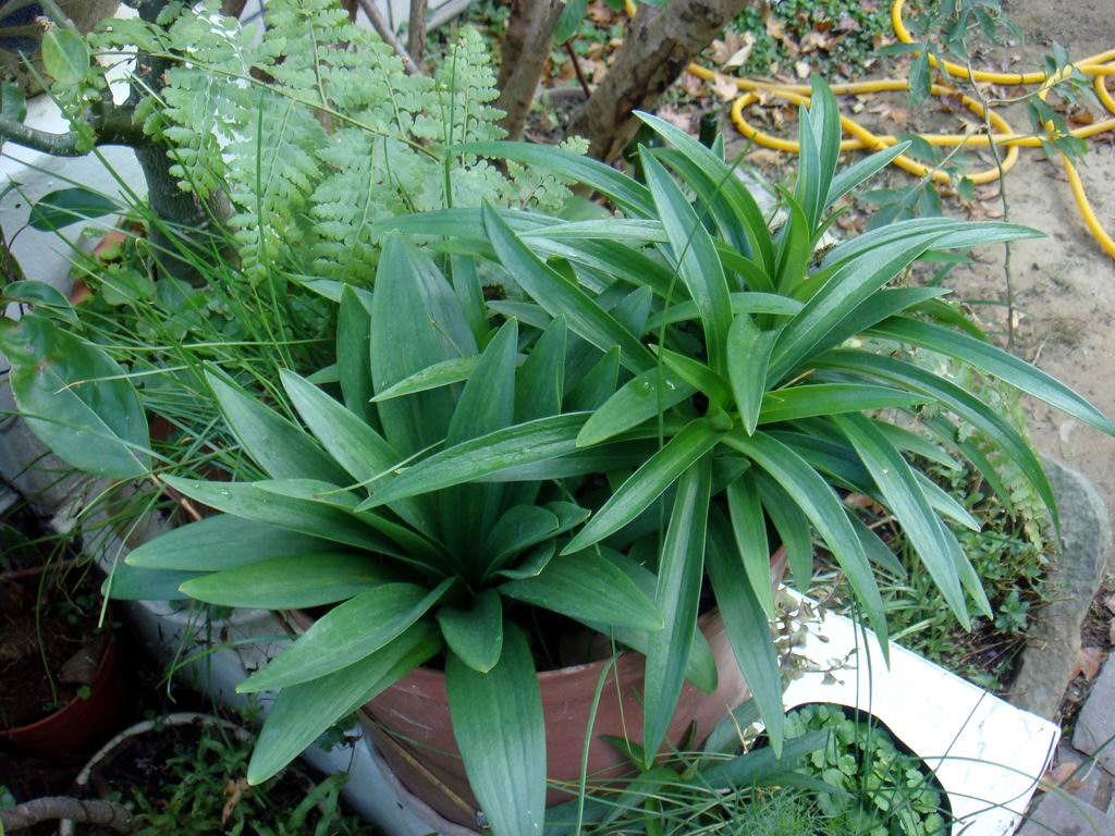 «ö¦¹¦b·sµøµ¡ÂsÄý¹Ï¤ù