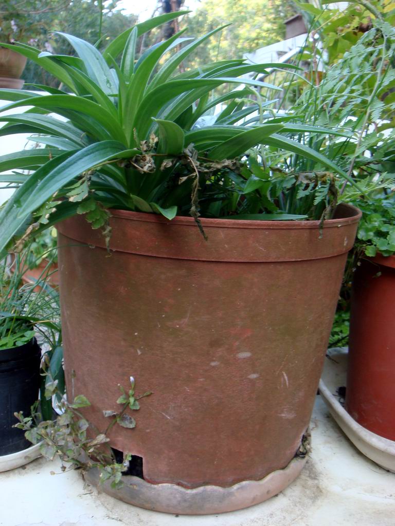 «ö¦¹¦b·sµøµ¡ÂsÄý¹Ï¤ù