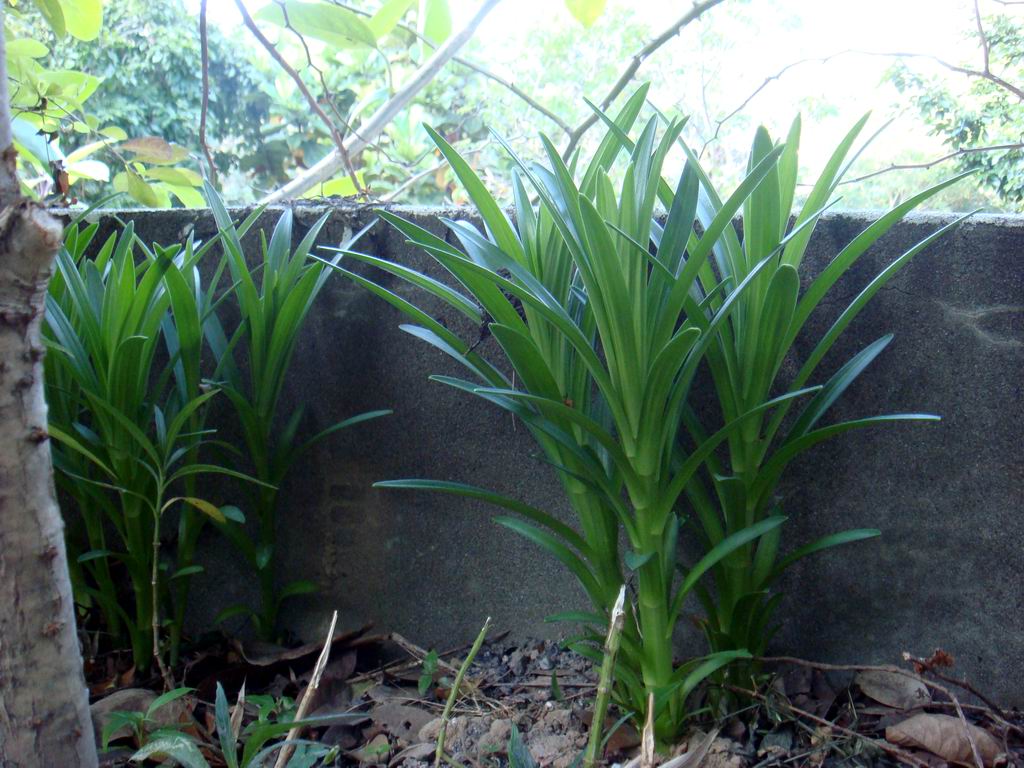 «ö¦¹¦b·sµøµ¡ÂsÄý¹Ï¤ù