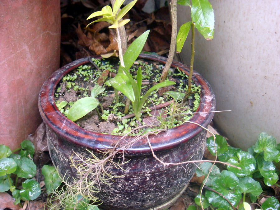 «ö¦¹¦b·sµøµ¡ÂsÄý¹Ï¤ù