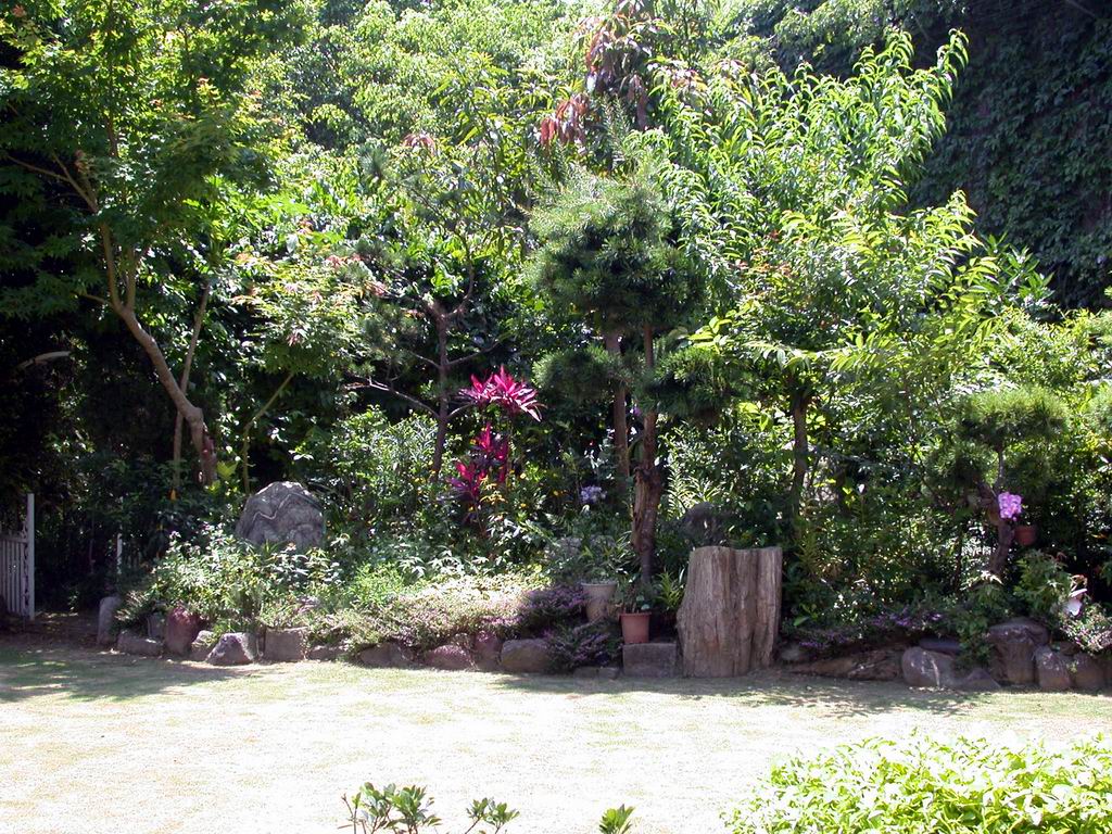 按此在新視窗瀏覽圖片