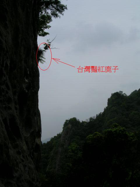 按此在新視窗瀏覽圖片