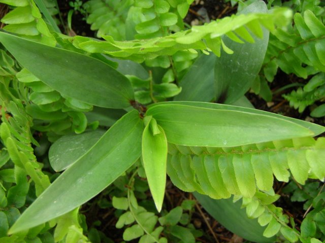 «ö¦¹¦b·sµøµ¡ÂsÄý¹Ï¤ù