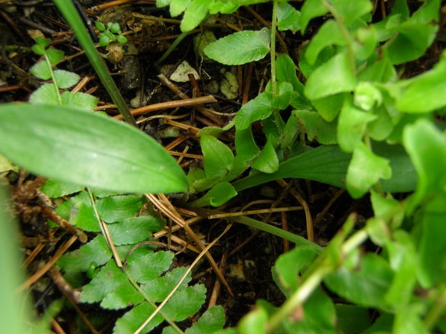 «ö¦¹¦b·sµøµ¡ÂsÄý¹Ï¤ù