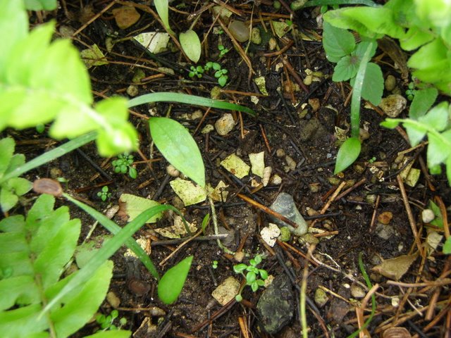 «ö¦¹¦b·sµøµ¡ÂsÄý¹Ï¤ù