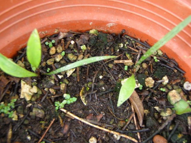 «ö¦¹¦b·sµøµ¡ÂsÄý¹Ï¤ù