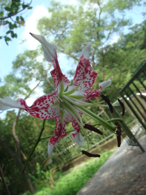 按此在新視窗瀏覽圖片