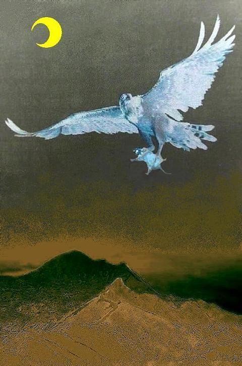 按此在新視窗瀏覽圖片