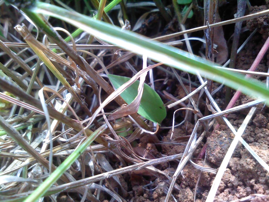 «ö¦¹¦b·sµøµ¡ÂsÄý¹Ï¤ù