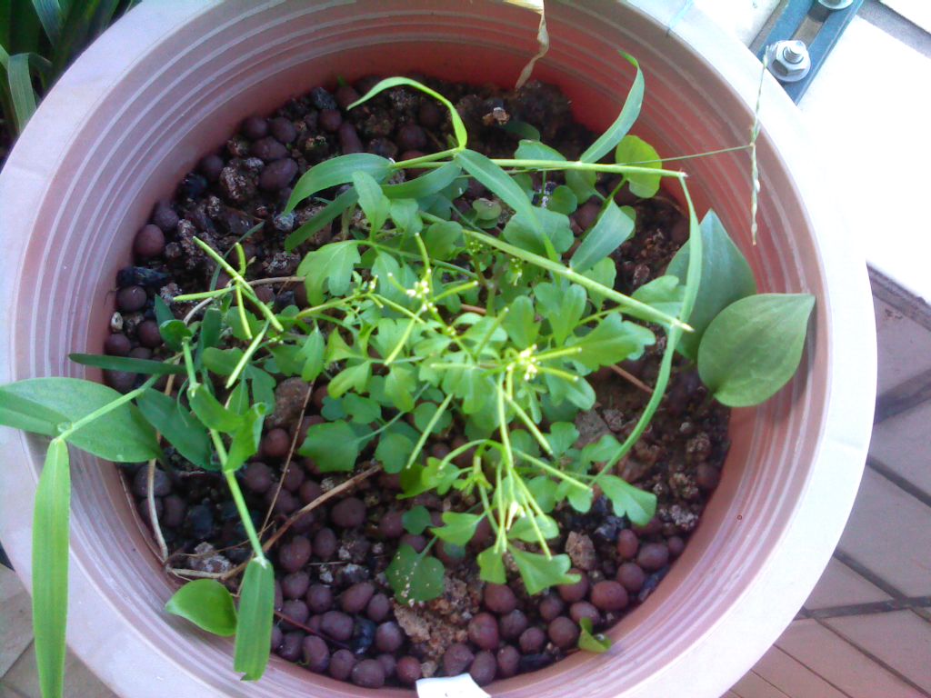 «ö¦¹¦b·sµøµ¡ÂsÄý¹Ï¤ù