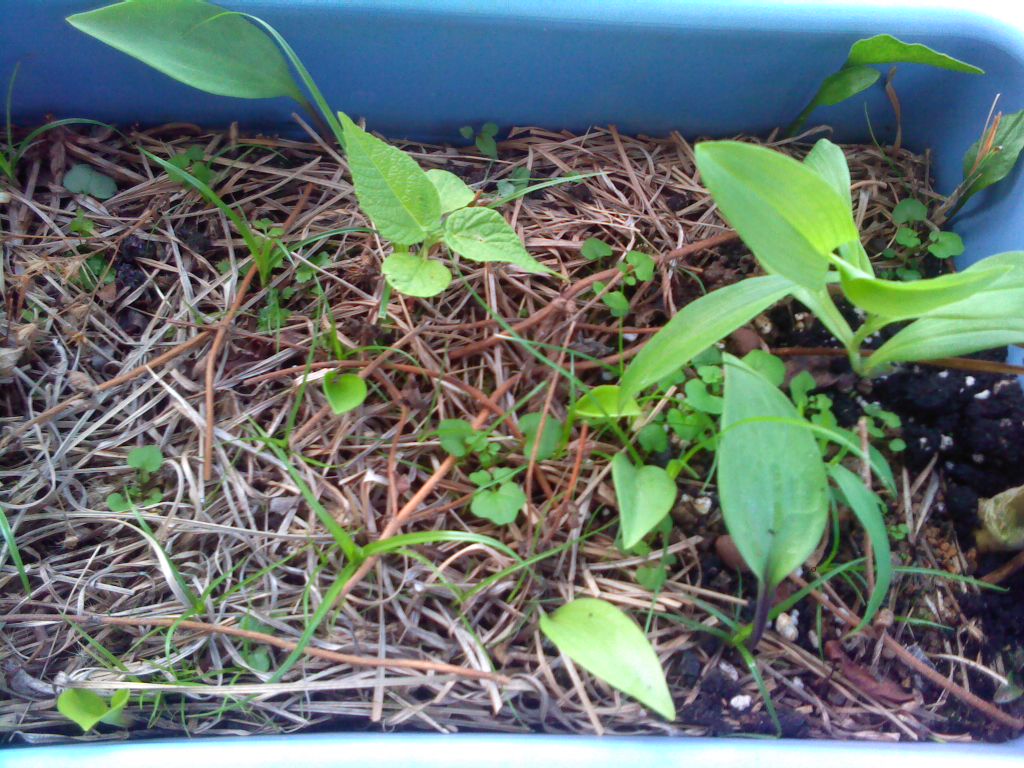 «ö¦¹¦b·sµøµ¡ÂsÄý¹Ï¤ù