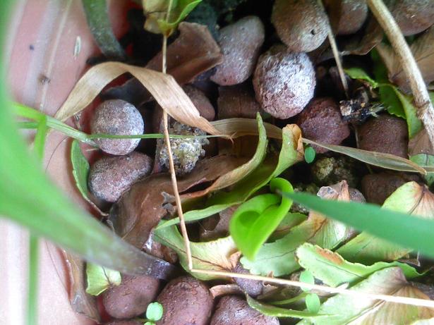 «ö¦¹¦b·sµøµ¡ÂsÄý¹Ï¤ù