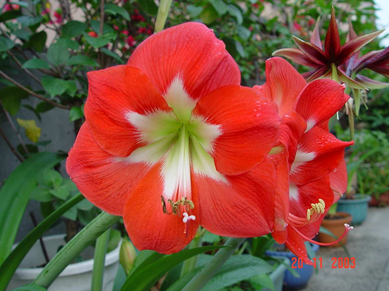 按此在新視窗瀏覽圖片