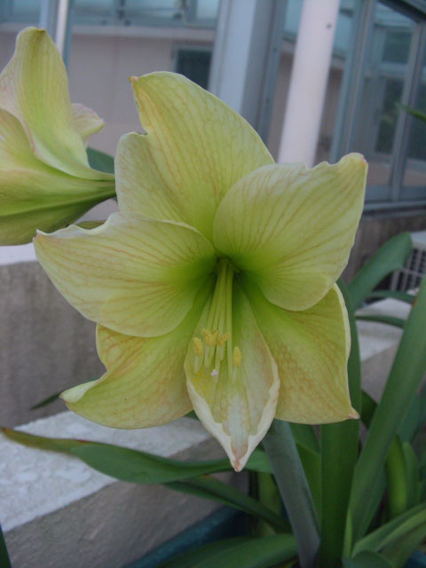 按此在新視窗瀏覽圖片