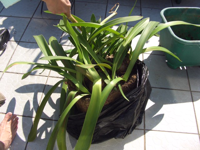 按此在新視窗瀏覽圖片