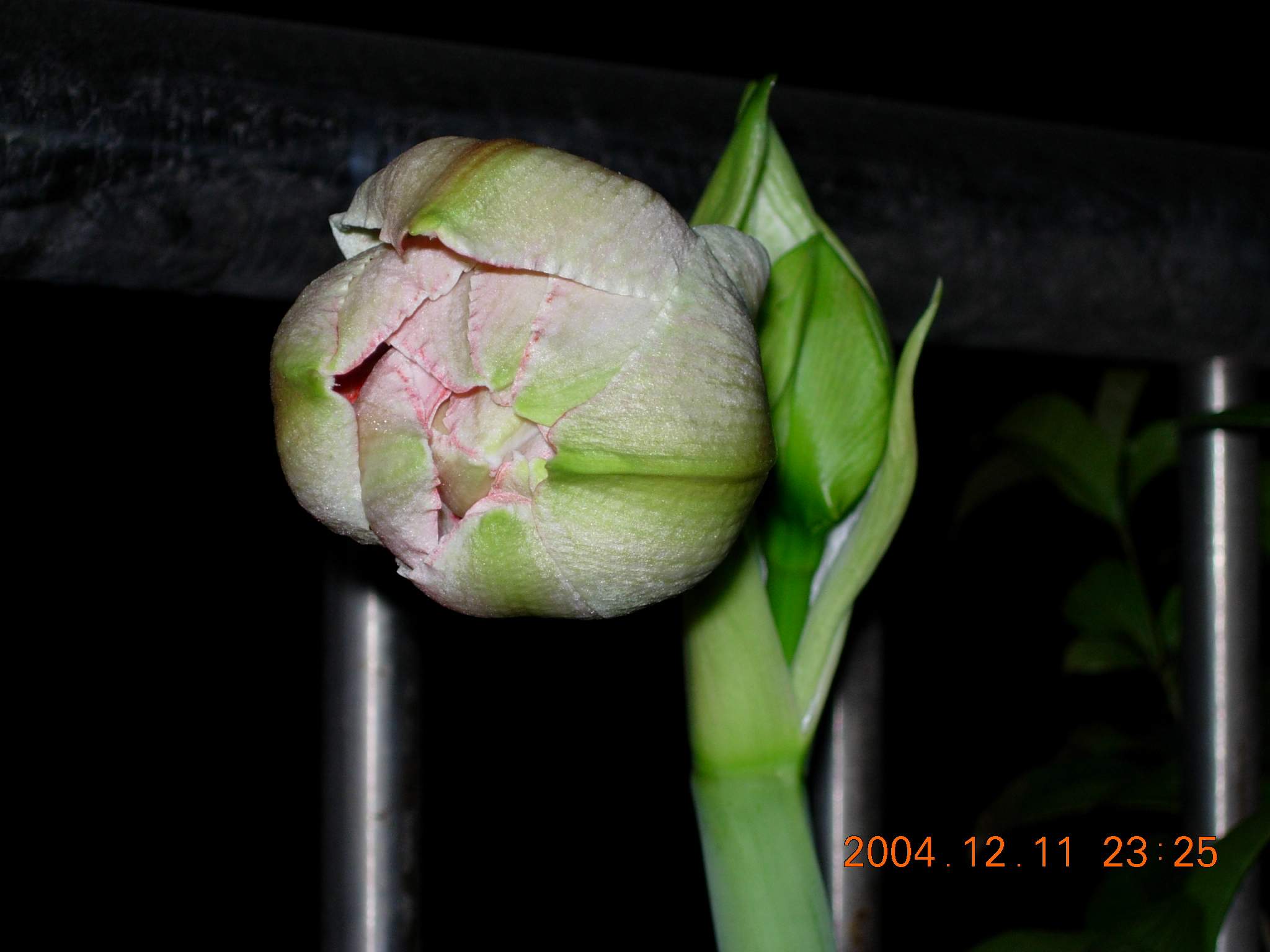 按此在新視窗瀏覽圖片