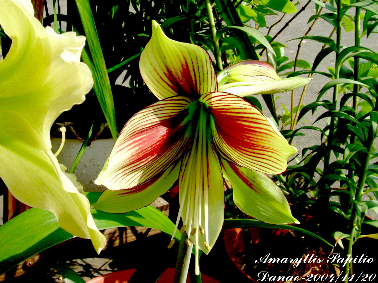 按此在新視窗瀏覽圖片