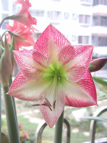 按此在新視窗瀏覽圖片