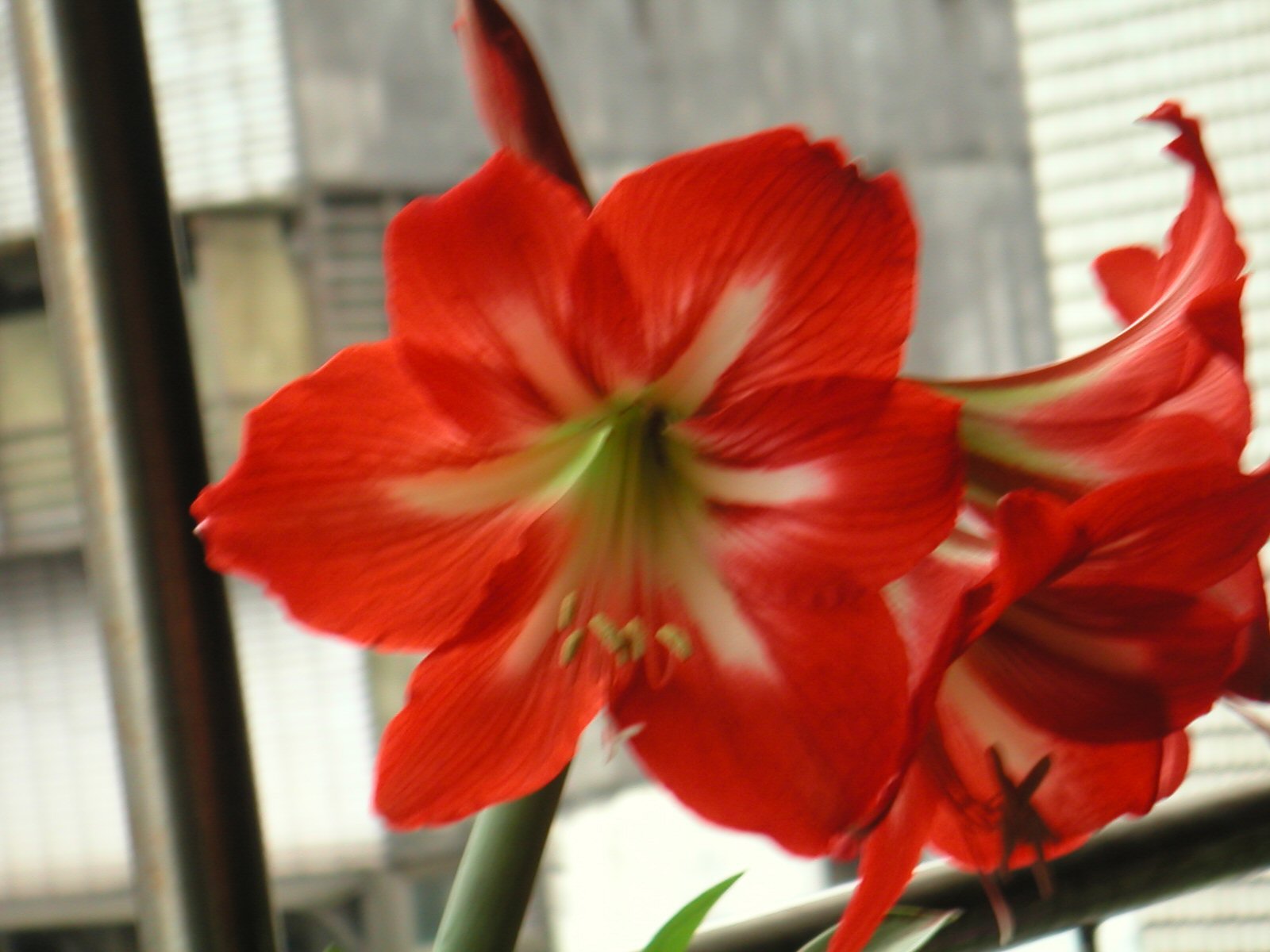 按此在新視窗瀏覽圖片